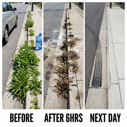 （🔥2026 New Upgrade）🌿Healrize® 2-in-1 Max Strength Herbicide: Fast Acting Results on Glyphosate-Resistant Weeds