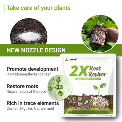 🔥 Upgraded 2025- 60% OFF | Cvreoz®2X Root Reviver