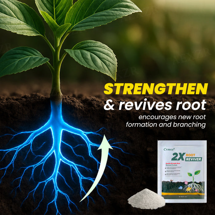 🖤𝘽𝙡𝙖𝙘𝙠 𝙁𝙧𝙞𝙙𝙖𝙮 𝙨𝙖𝙡𝙚🔥 | Cvreoz® 2X Root Reviver