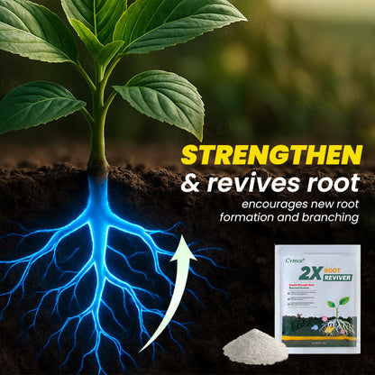 🖤𝘽𝙡𝙖𝙘𝙠 𝙁𝙧𝙞𝙙𝙖𝙮 𝙨𝙖𝙡𝙚🔥 | Cvreoz® 2X Root Reviver