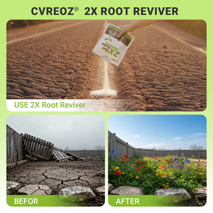 🔥 Upgraded 2025- 60% OFF | Cvreoz®2X Root Reviver