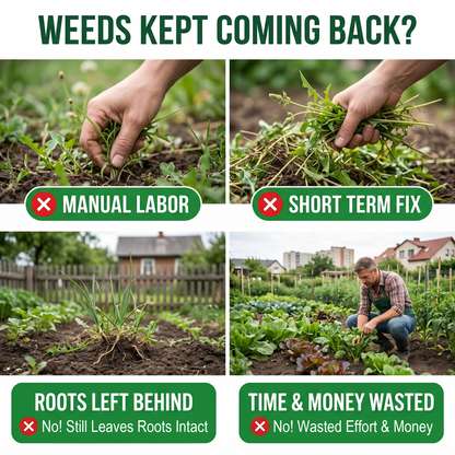 （🔥2026 New Upgrade）🌿Healrize® 2-in-1 Max Strength Herbicide: Fast Acting Results on Glyphosate-Resistant Weeds