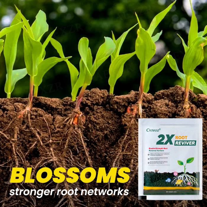 🖤𝘽𝙡𝙖𝙘𝙠 𝙁𝙧𝙞𝙙𝙖𝙮 𝙨𝙖𝙡𝙚🔥 | Cvreoz® 2X Root Reviver