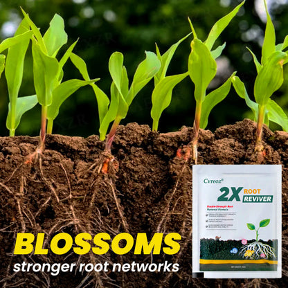 🖤𝘽𝙡𝙖𝙘𝙠 𝙁𝙧𝙞𝙙𝙖𝙮 𝙨𝙖𝙡𝙚🔥 | Cvreoz® 2X Root Reviver