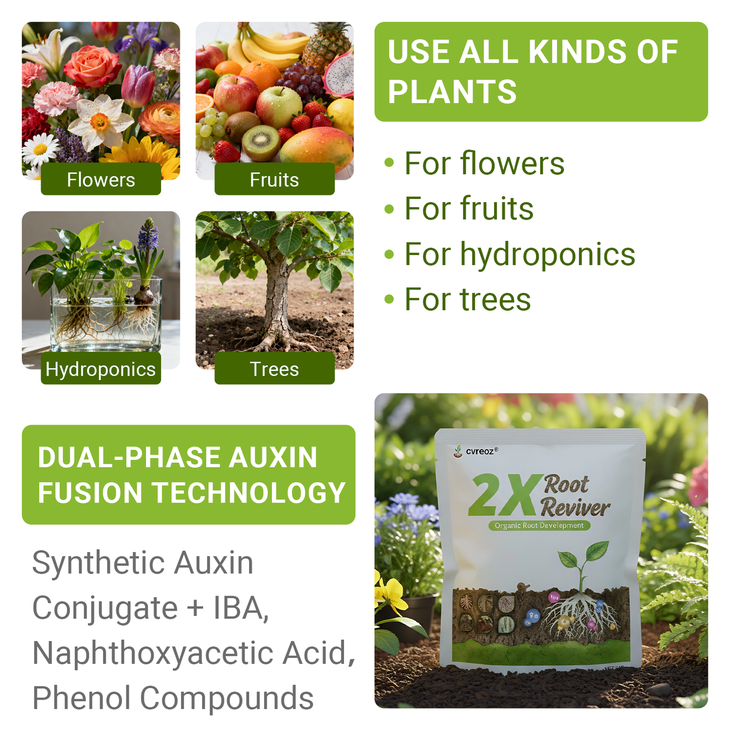 🔥 Upgraded 2025- 60% OFF | Cvreoz®2X Root Reviver