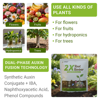 🔥 Upgraded 2025- 60% OFF | Cvreoz®2X Root Reviver