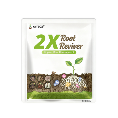 🔥 Upgraded 2025- 60% OFF | Cvreoz®2X Root Reviver