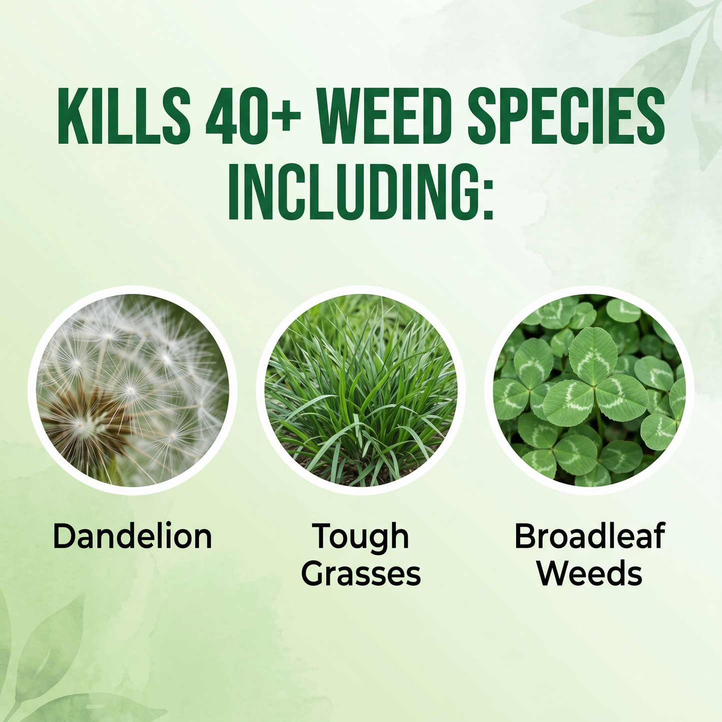 （🔥2026 New Upgrade）🌿Healrize® 2-in-1 Max Strength Herbicide: Fast Acting Results on Glyphosate-Resistant Weeds