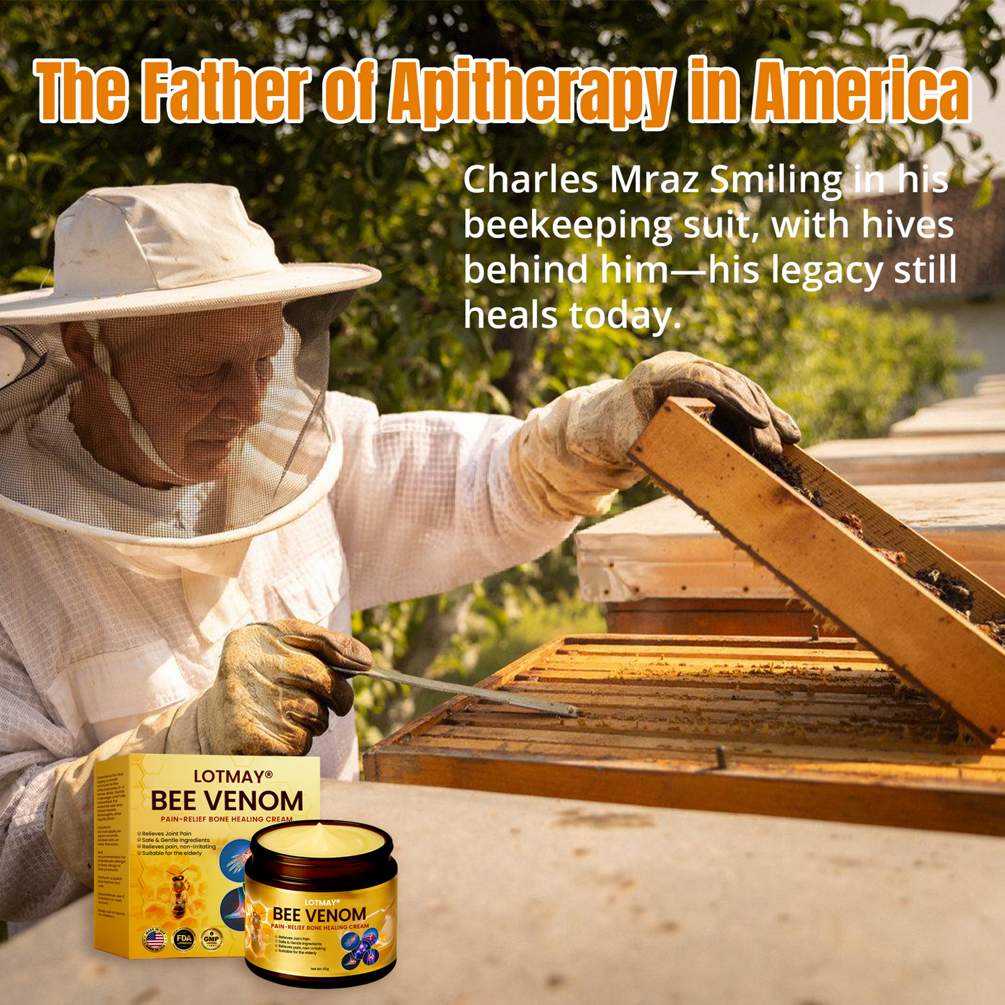 LOTMAY® Bee Venom Pain-Relief Bone Healing Cream